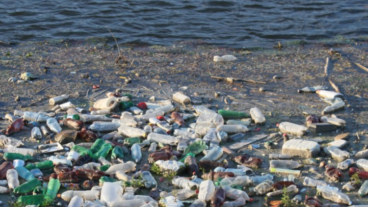 Учёные из Улан-Удэ и Томска провели первое иссл...