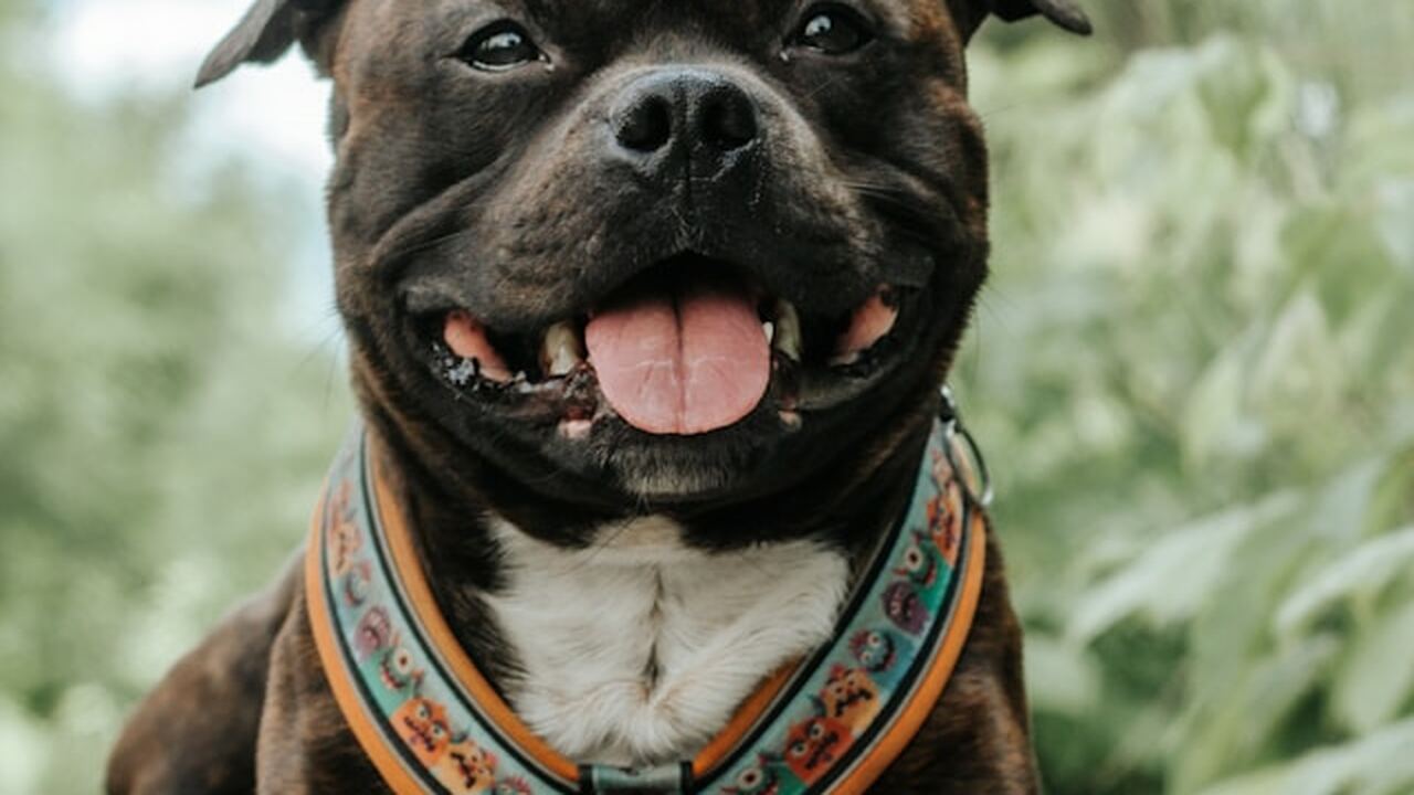 Специалисты Университета штата Аризона пришли к...