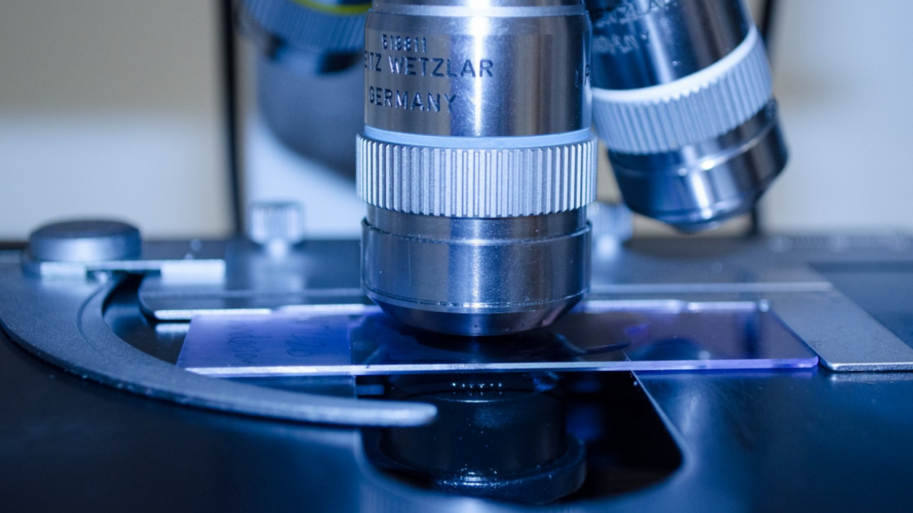 Физики международной коллаборации STAR, работаю...