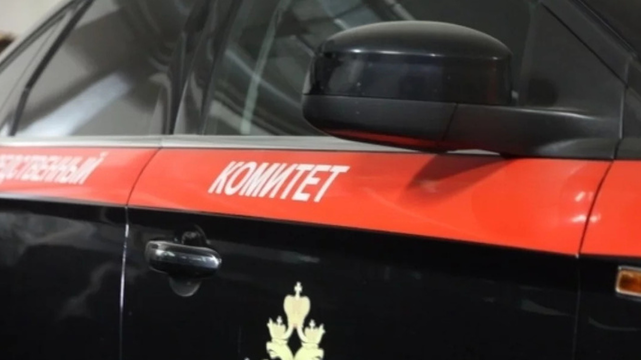 Ульяновец напугал подростка и отобрал у него куртку В Ульяновске возбуждено уголовное дело по факту...