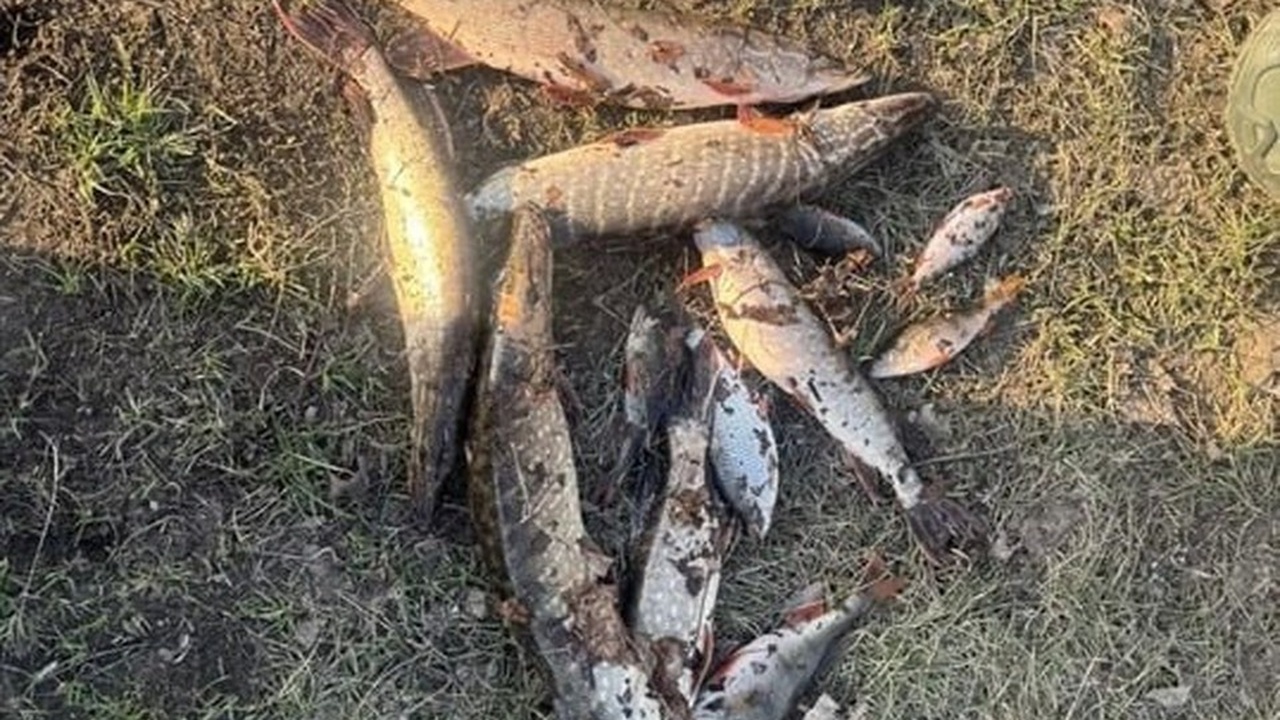 5 апреля на берегу реки Авраль возле рабочего п...