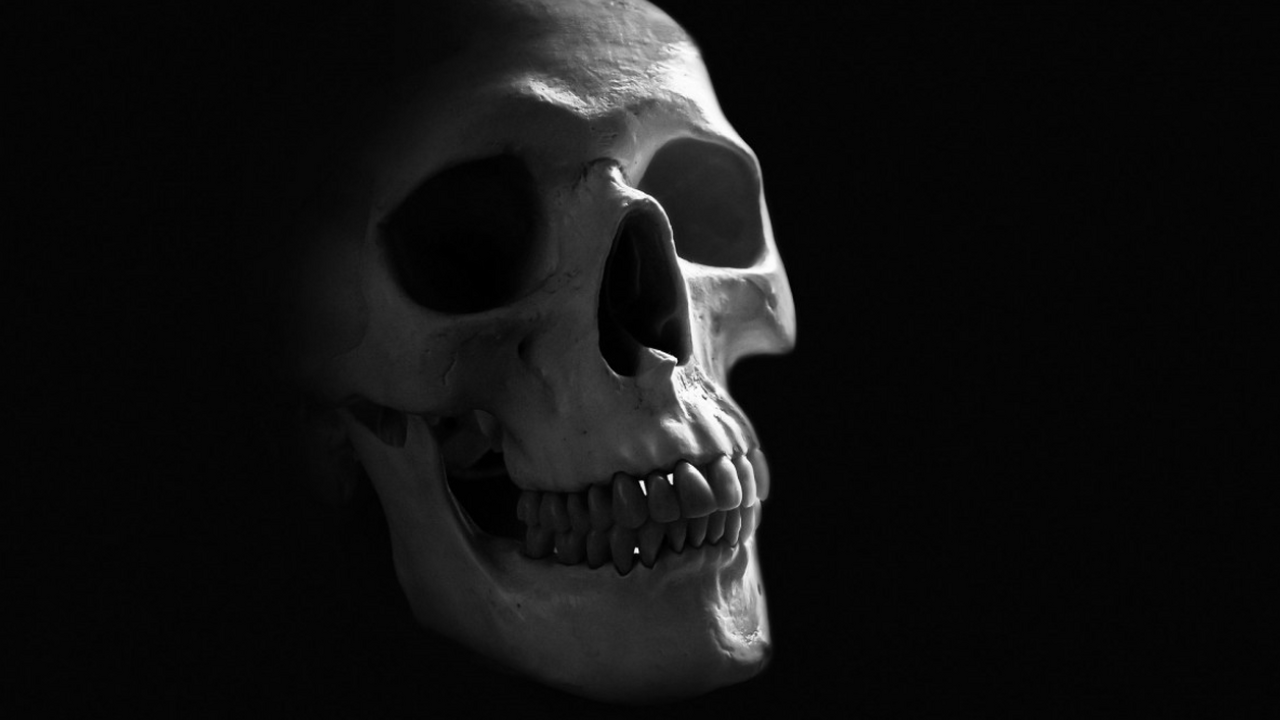 В Италии поставлена точка в детективной истории...