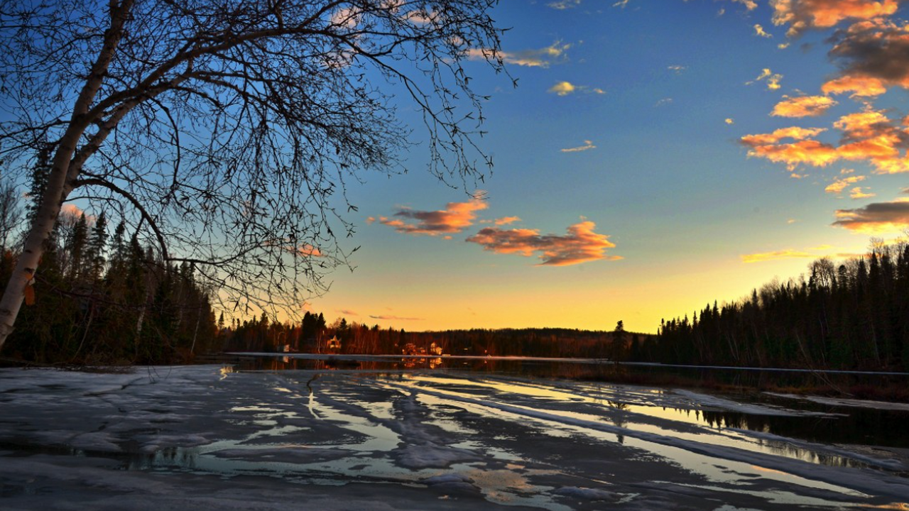 С 11 декабря начнется весна: Вильфанд предрек крупную аномалию в России Центральную Россию на этой неделе ожидает резко...