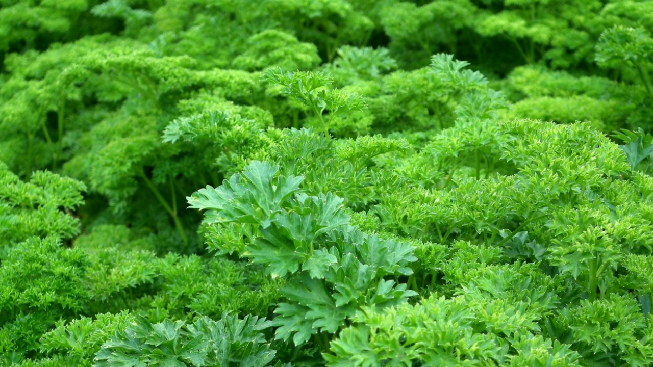 Оказывается, секрет нежного и ароматного мяса к...