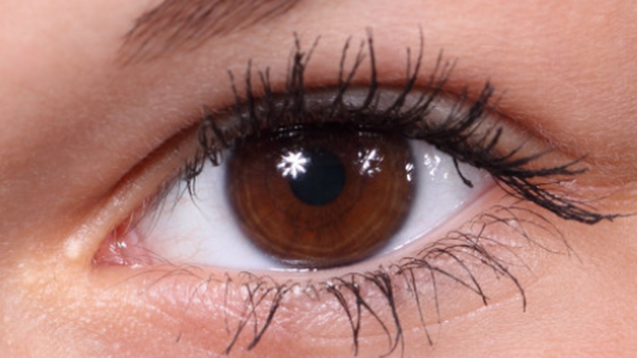 Исследователи из Государственного университета ...