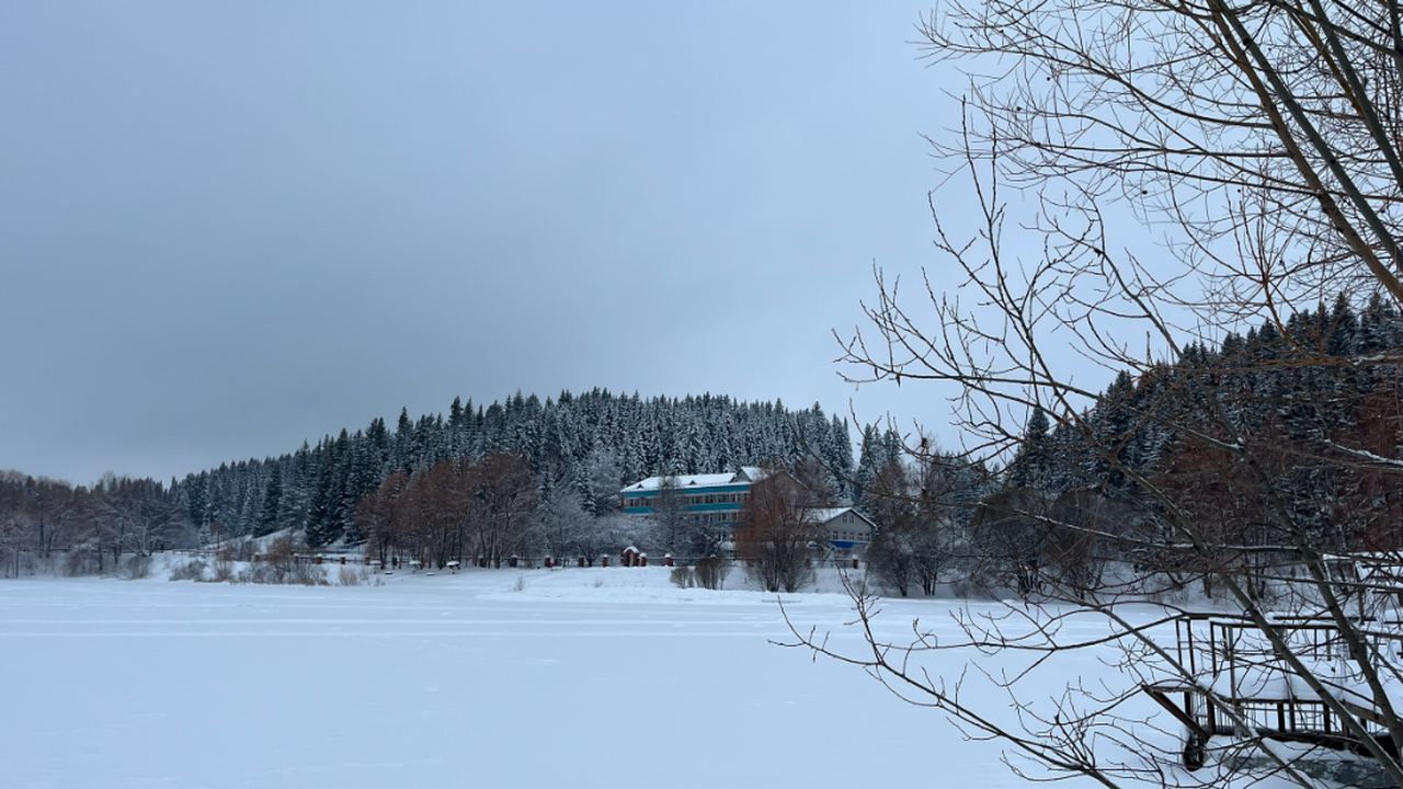 Ждать ли аномалий летом? К чему готовиться после "сюрпризов" зимы - прогнозы, которые заставляют напрячься Вторая половина января принесла экстремальные м...