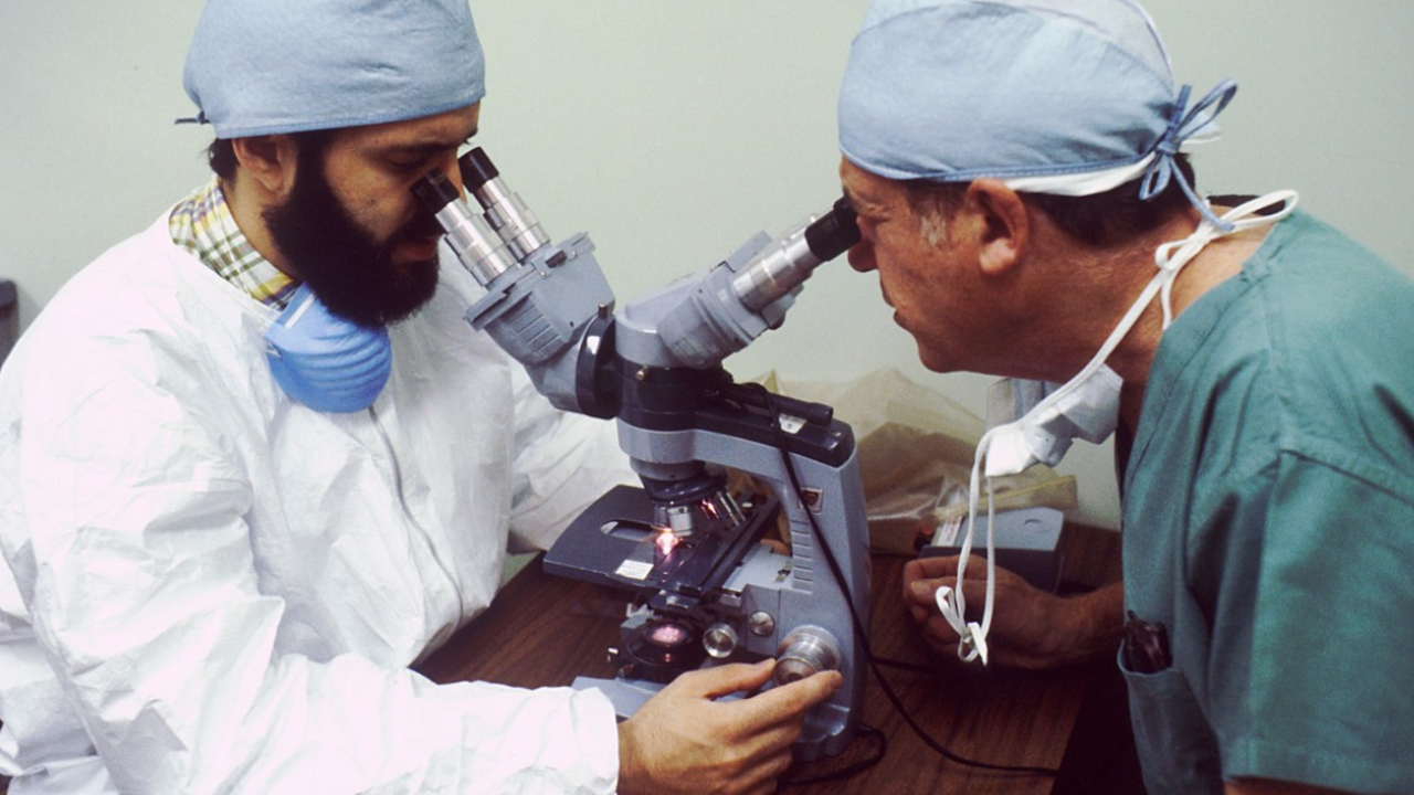 Исследование показало, что распространенный бел...