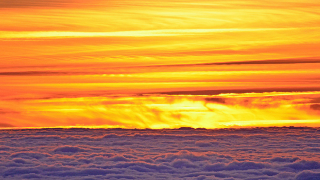 Исследование показало, что из-за жары люди буду...