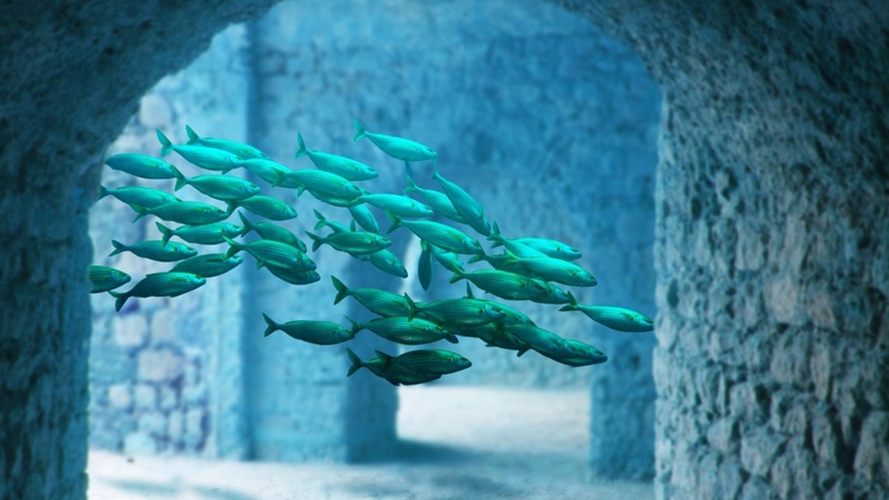 Продуктовый баланс 2025: взлеты и падения цен Продовольственный рынок России в 2025 году прод...