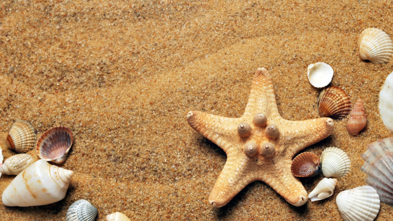 Геологи разработали новый метод, позволяющий во...