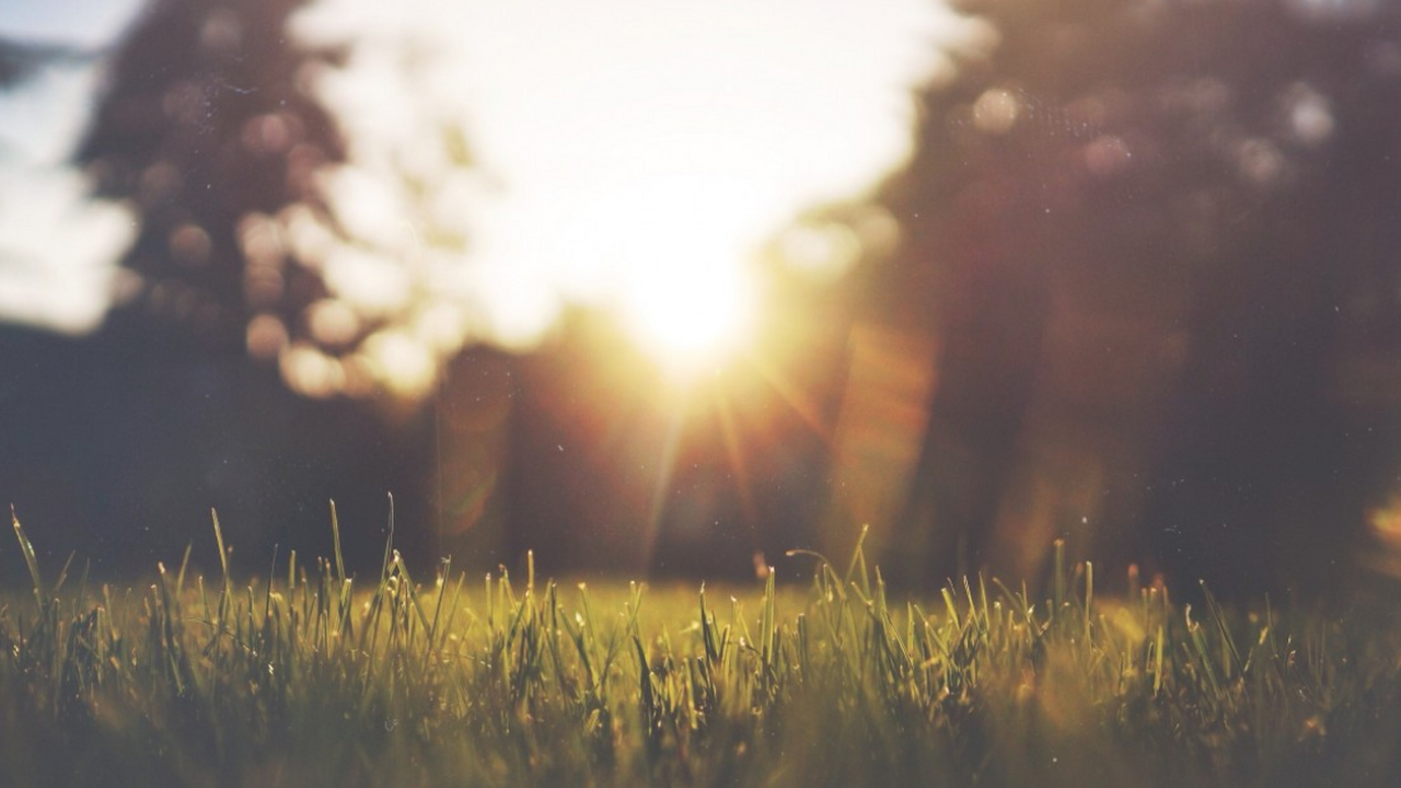 Палеонтологи обнаружили в Новой Шотландии череп...