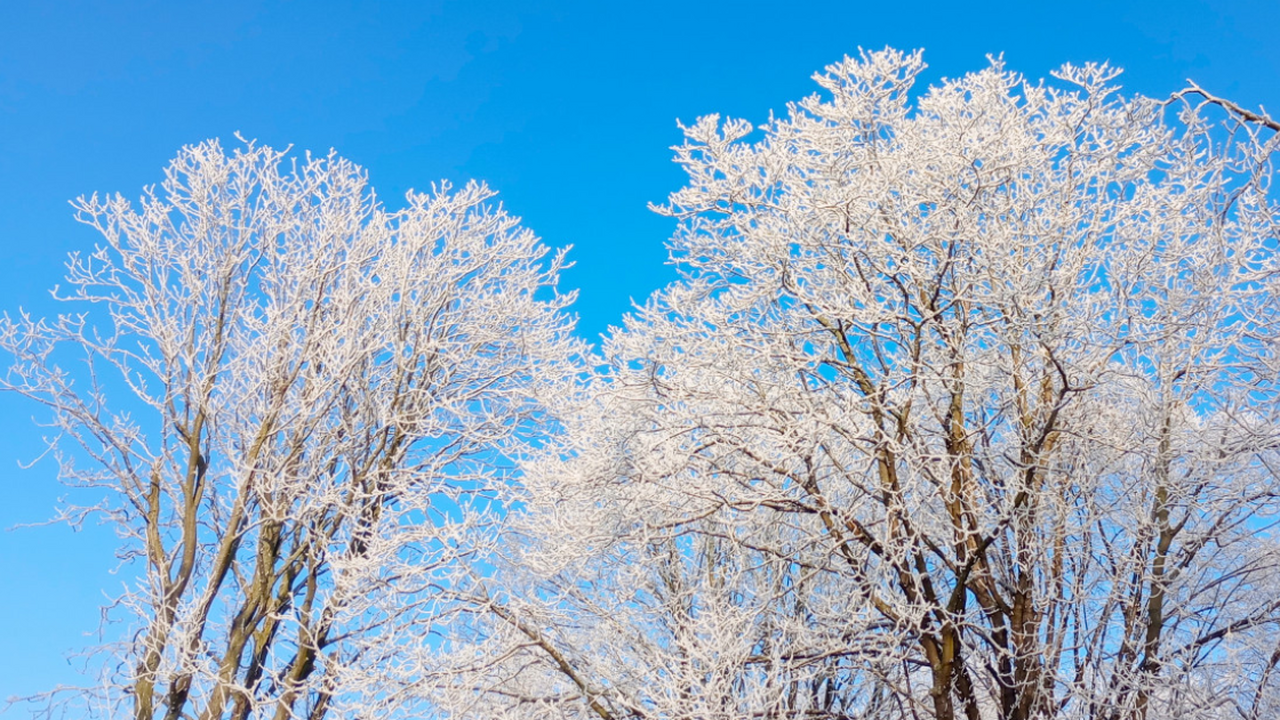 Такого не было с 1740 года: синоптики объявили, к чему готовиться в декабре По словам ведущего специалиста центра погоды «Ф...