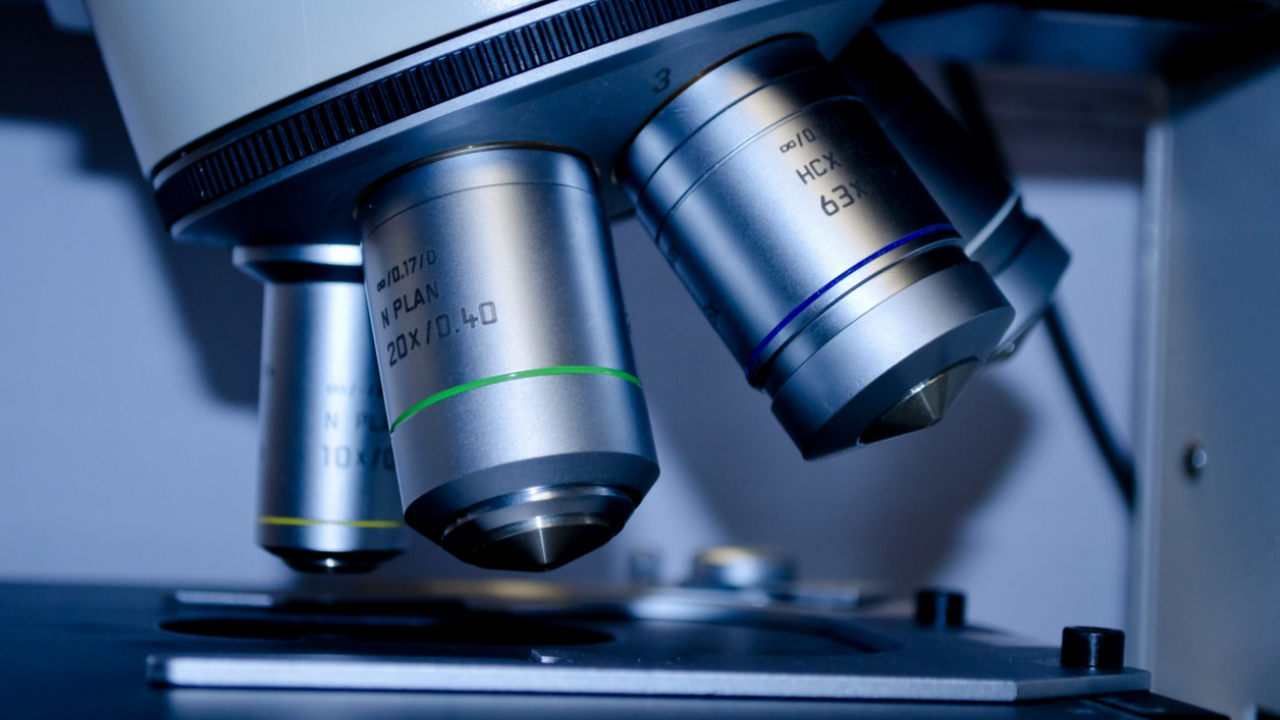 Чешские исследователи описали новый одноклеточн...