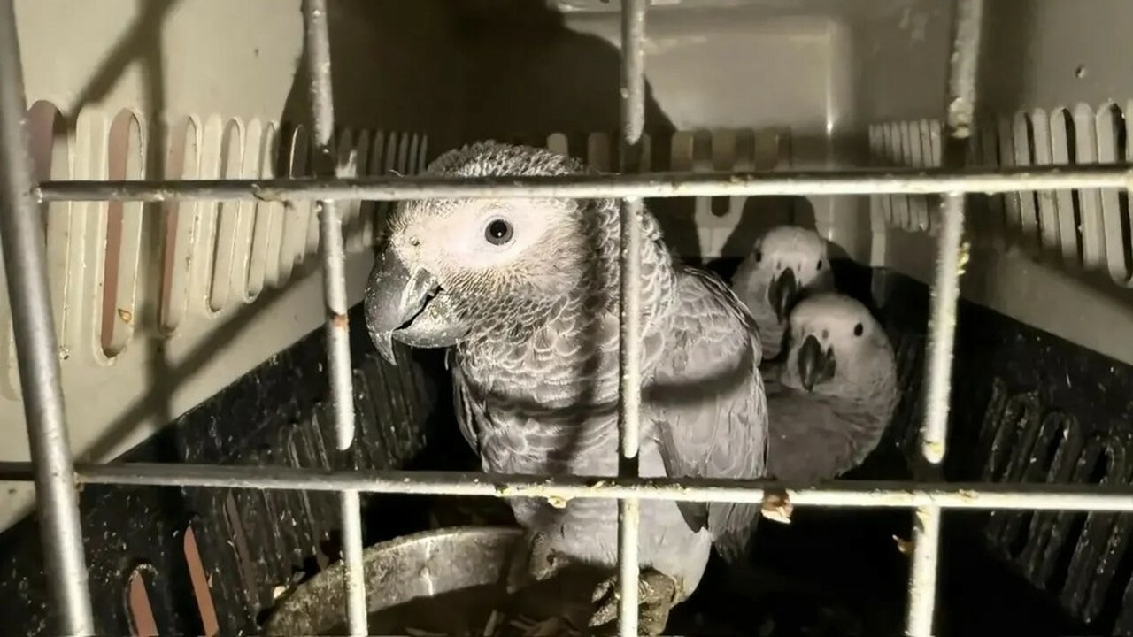 Сотрудники Самарской таможни совместно с погран...