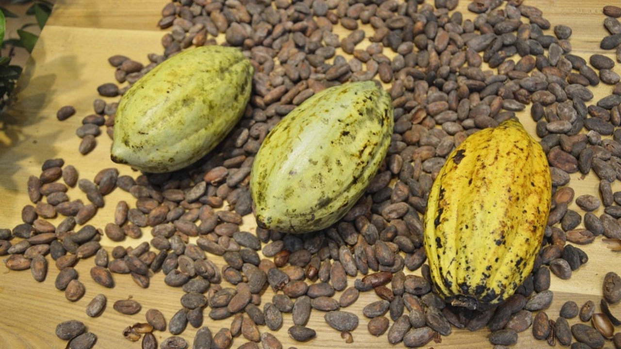 С начала 2025 года в Ульяновскую область поступ...