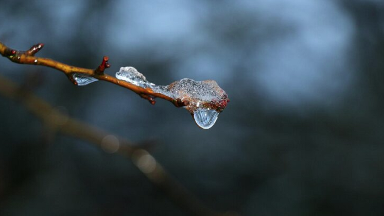 На основании данных метеорологических служб, ме...