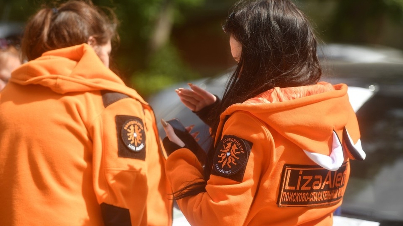 За 2025 год ЛизаАлерт в Ульяновской области спасли почти 900 человек Поисковый отряд «ЛизаАлерт» подвел итоги работы...