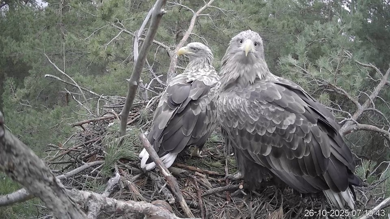Жители Ульяновской области получат уникальную в...