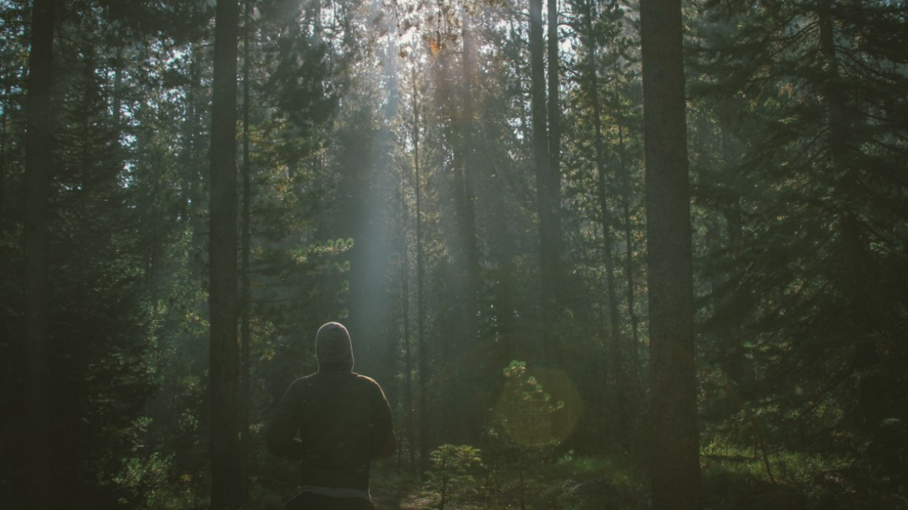 В ноябре придет аномальное тепло: синоптики сделали прогноз на конец осени Осень 2025 года может преподнести россиянам нео...