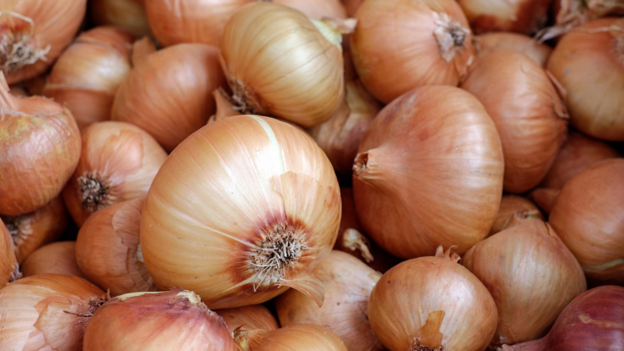 Лук традиционно считается зимним продуктом, кот...