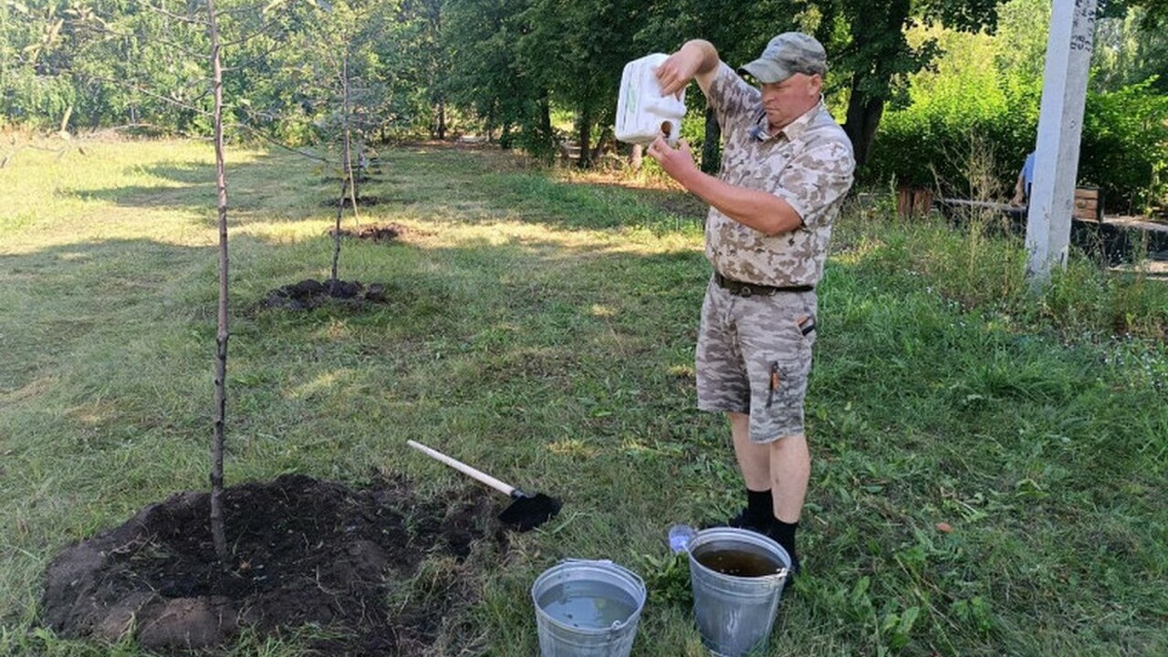 В Ульяновске, в живописном сквере Антонова, раз...
