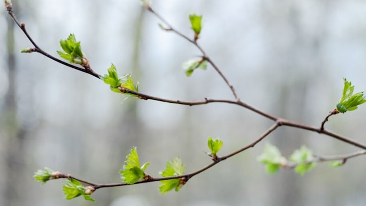 Долгосрочные прогнозы на апрель 2026 года указы...