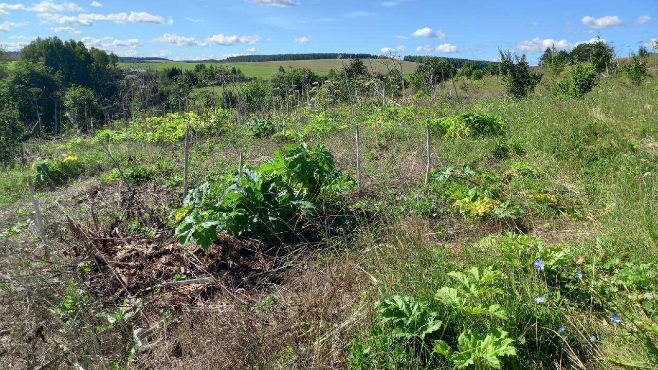 Российским дачникам стоит готовиться к новым пр...