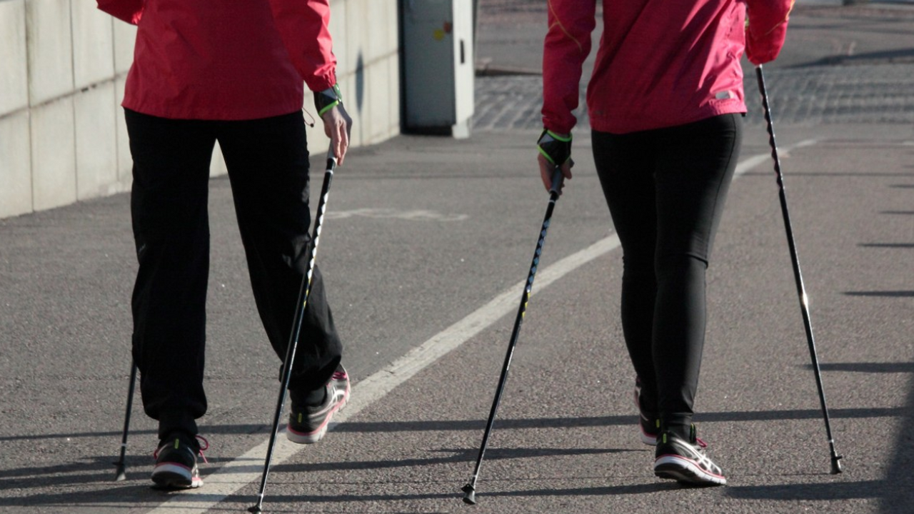 Врач Анисимов: ходьба снижает уровень гормона стресса кортизола Нейрофизиологи всё чаще называют движение главн...