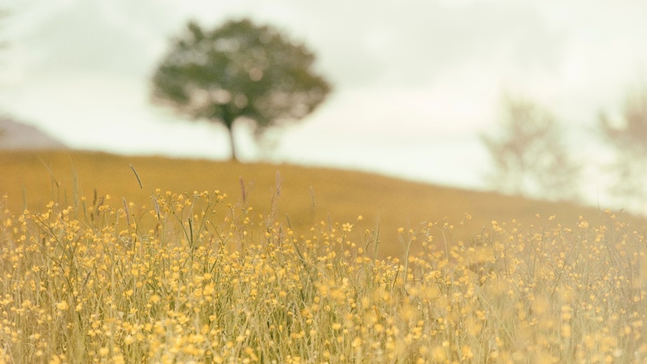 В Ульяновской области завершается подготовка к ...