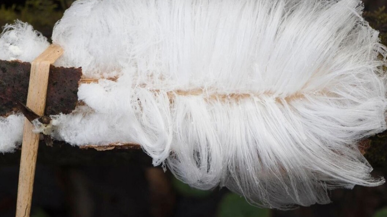 В геопарке «Янган-Тау» нашли волосатый лед В геопарке «Янган-Тау» в Башкирии зафиксировали...