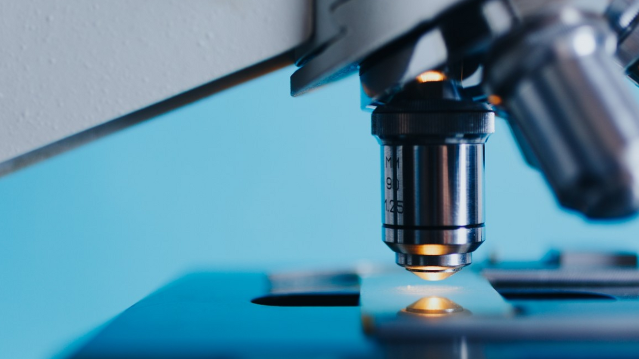 Международная группа учёных под руководством Ди...