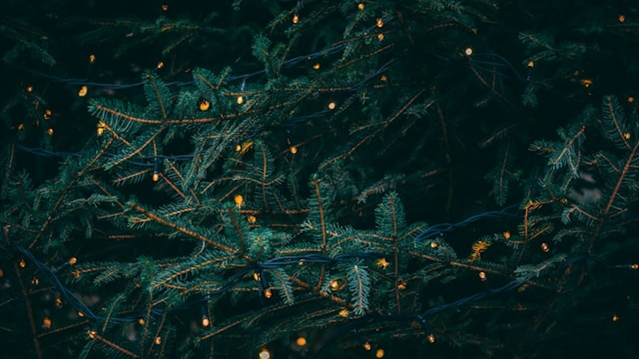 В Госдуме предложили перераспределить праздничные дни: сократить январские каникулы в пользу мая В России обсуждается инициатива по изменению ст...