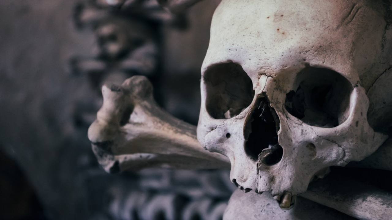 В пещере Петралона нашли череп, переписывающий историю заселения Европы Международная команда исследователей пересмотре...