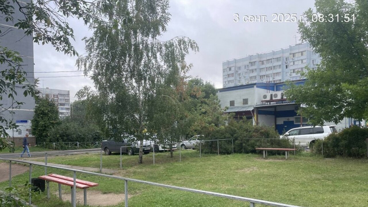 Ульяновск обретет новую зеленую зону в честь 80-летия Великой Победы Жители Нового города в Ульяновске скоро смогут ...