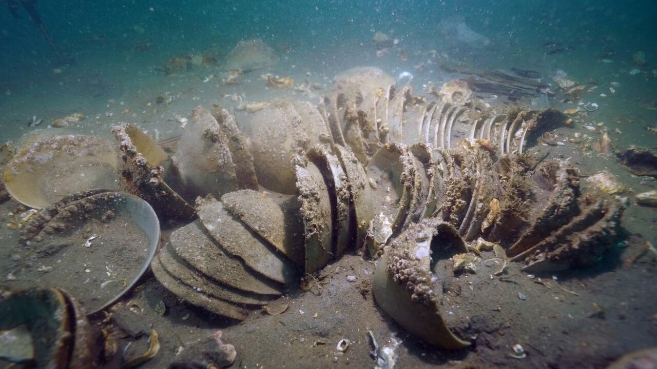 Со дна моря подняли посуду XII века, которая выглядит так, будто ее сделали вчера У побережья Южной Кореи, на мелководных отмелях...