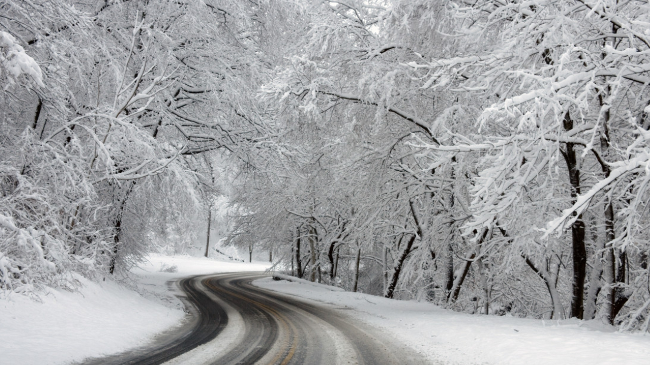 Названы регионы России, которые первыми накроют мощные снегопады По данным Гидрометцентра, снежный покров уже по...