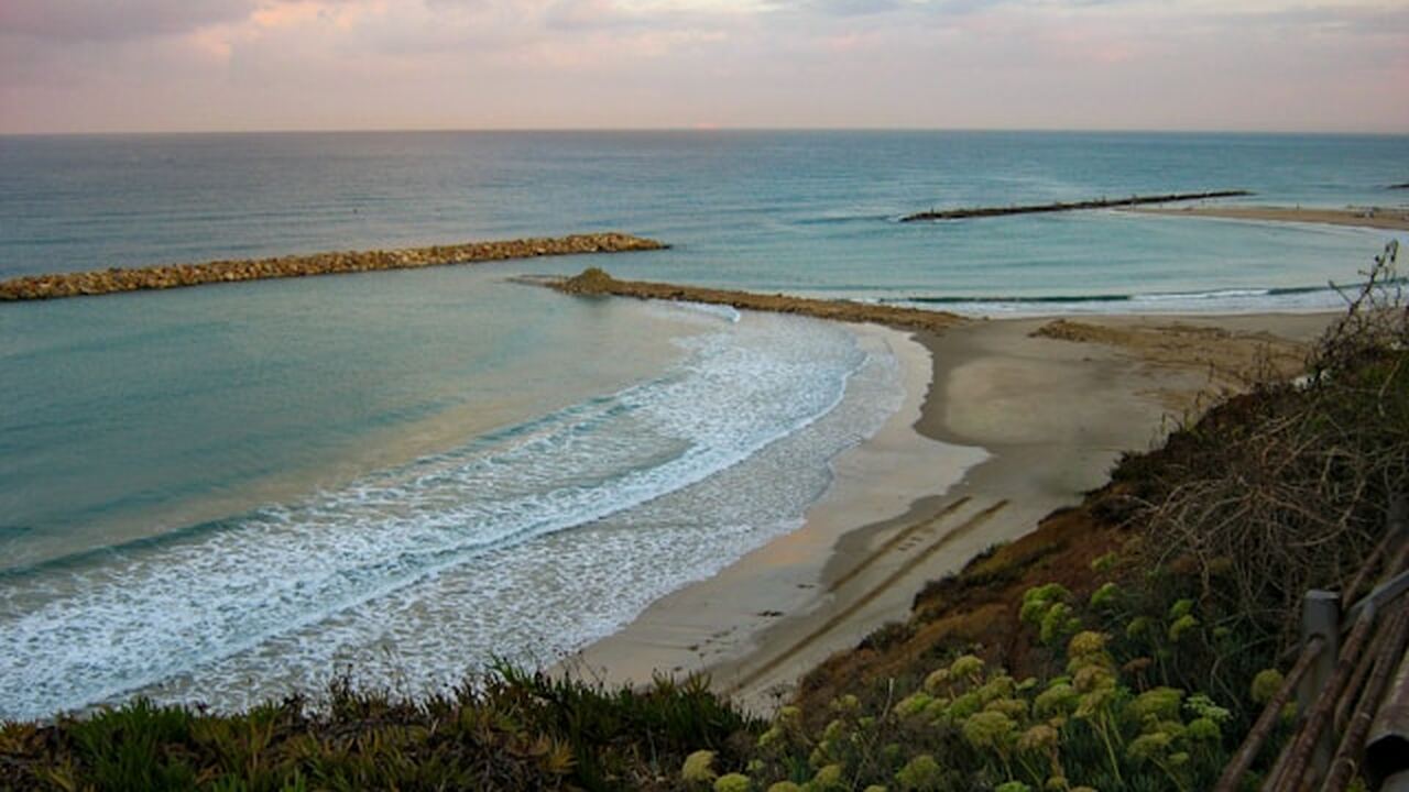 Конфликт на пляже в Дананге: после жалобы туриста началась проверка На территории одного из пятизвездочных отелей в...