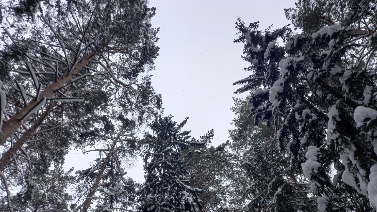 С 16 января европейскую часть страны ждут почти...