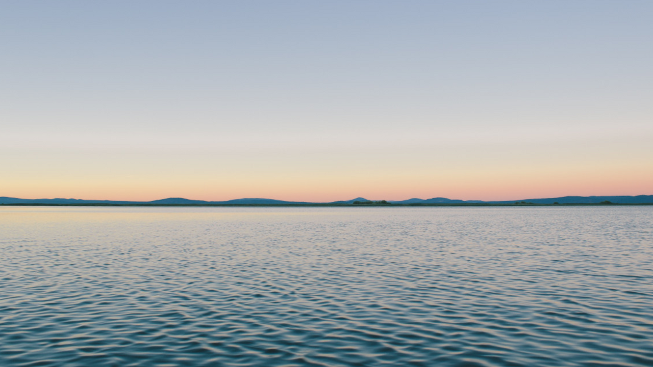 Морская тепловая волна 2003 года у берегов Грен...