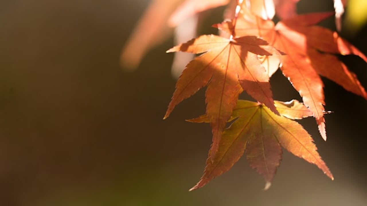 В Заволжском районе Ульяновска специалисты «Гор...
