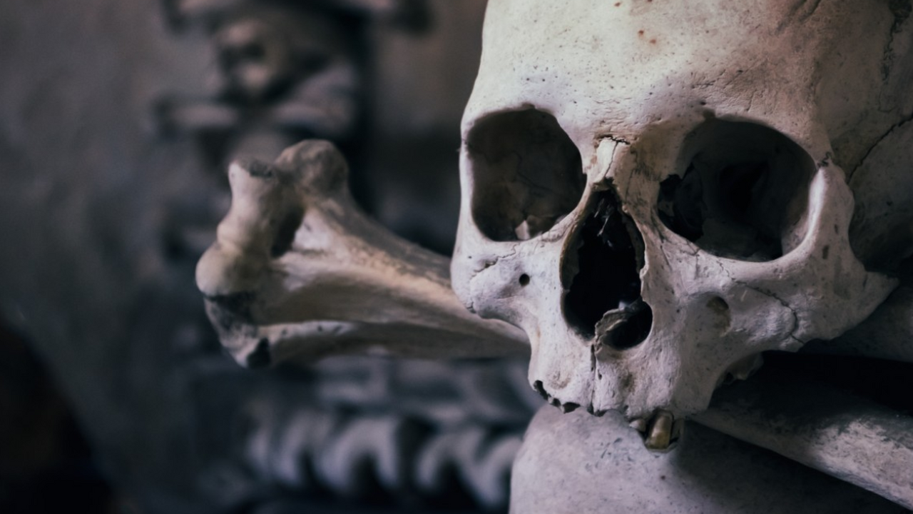 Археологи обнаружили в Суздальском Ополье уника...