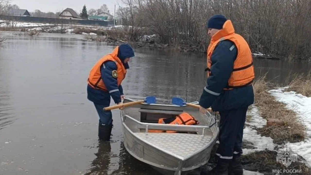 В Ульяновской области начали поступать первые с...