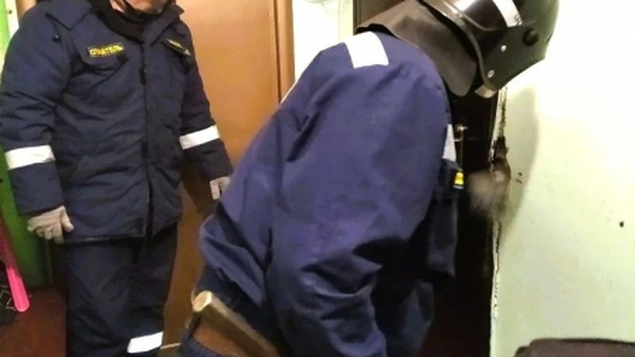 В Ульяновске спасатели освободили ребенка из закрытой квартиры В Заволжском районе Ульяновска 29 марта произош...