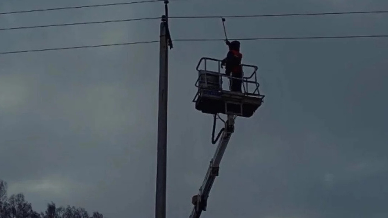 За прошедшие сутки в Ульяновской области зафикс...