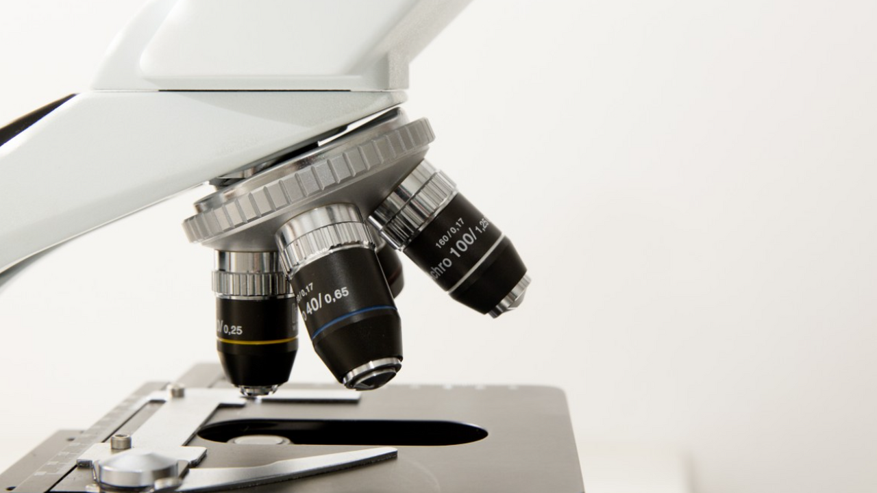 В наших клетках, помимо основных хромосом, скры...