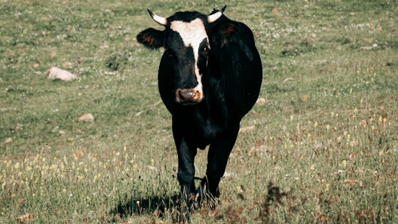 В Ульяновске выявили фальсифицированную молочную продукцию За прошлый год региональное управление Роспотре...