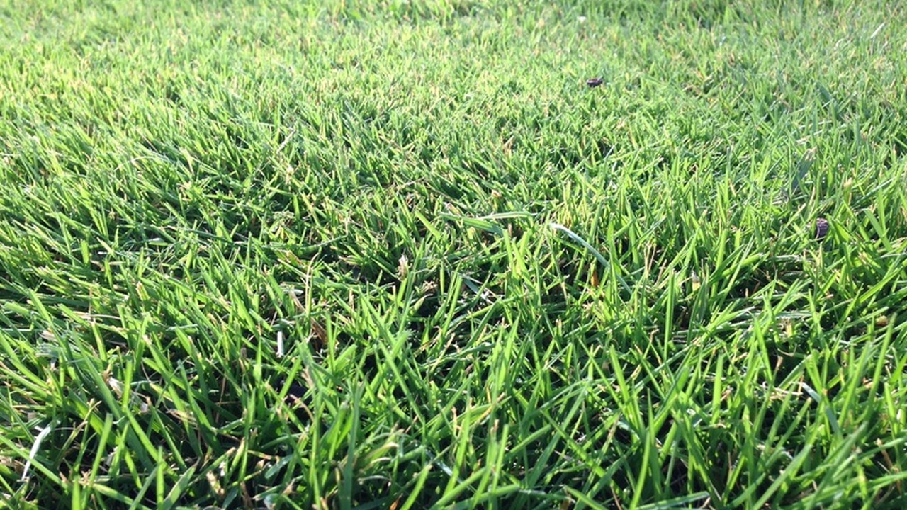 В Ульяновске планируется провести комплексные р...