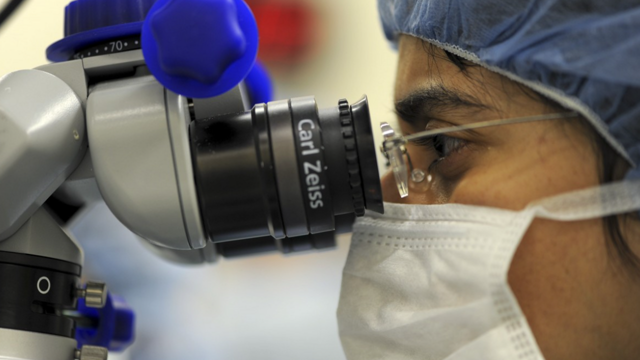 Антропологи выяснили, что уровни тестостерона, ...