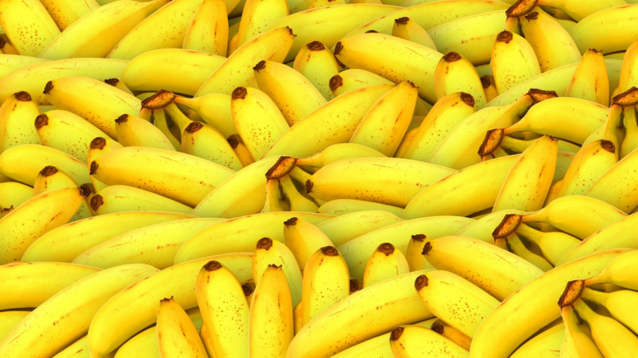 Токсичные металлы, нашли в бананах после аварии на горнодобывающем предприятии Ученые из Университета Сан-Паулу, Федерального ...
