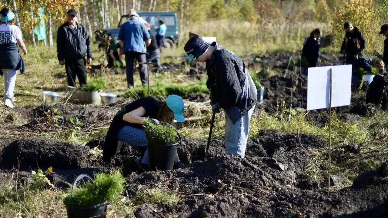 В Майне участники акции «Зелёные города» высади...